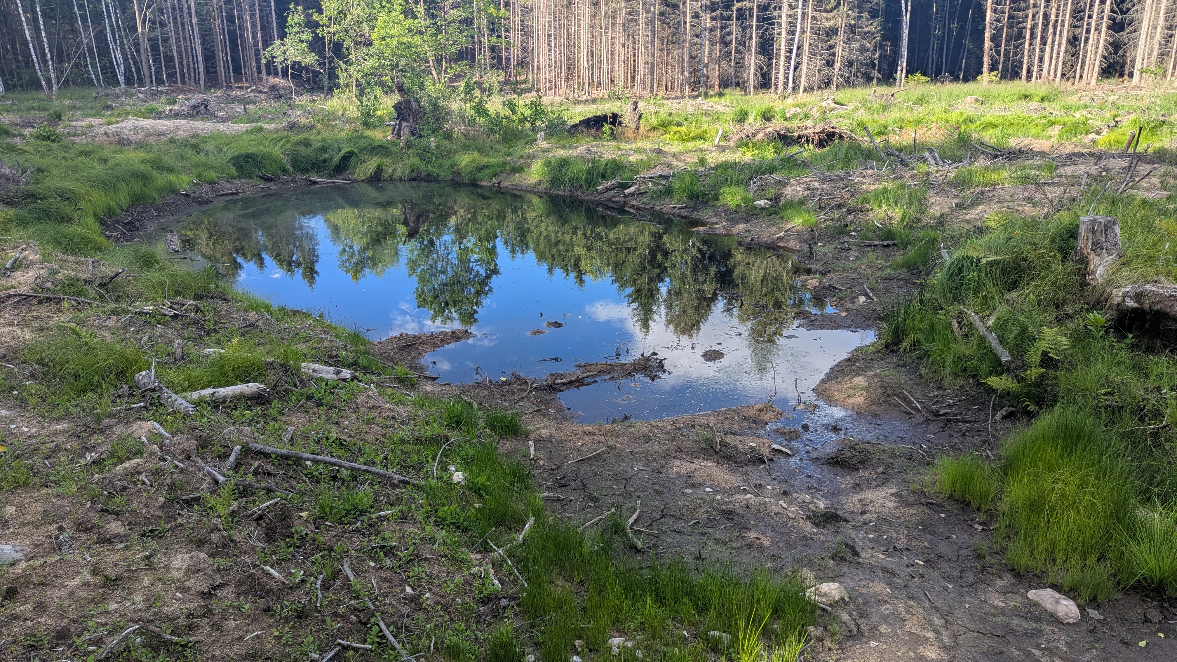 Tůně Grenzteich 