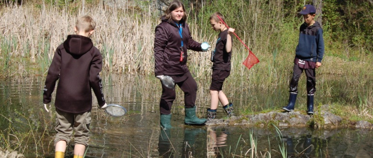 Žáci ZŠ Vorlina Vlašim loví obojživelníky cedníky.