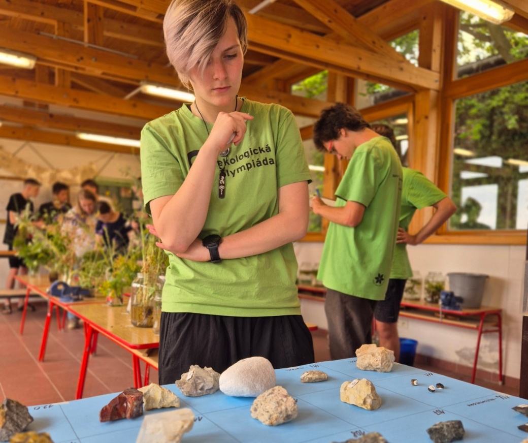 Studenti při poznávačce určují rostliny a horniny.