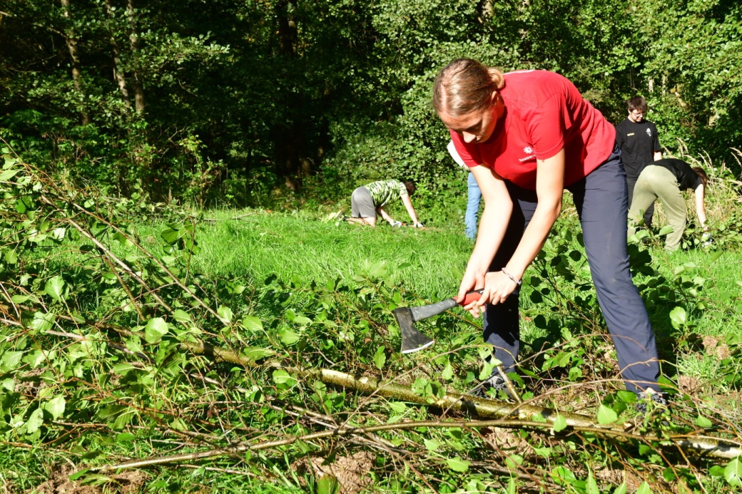 Dívka sekerou osekává větve.
