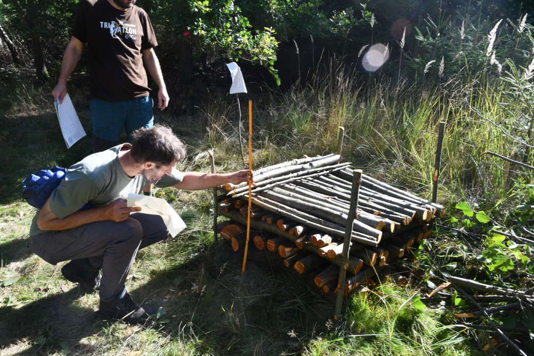 Komise kontroluje a přeměřuje nařezané dřevo.