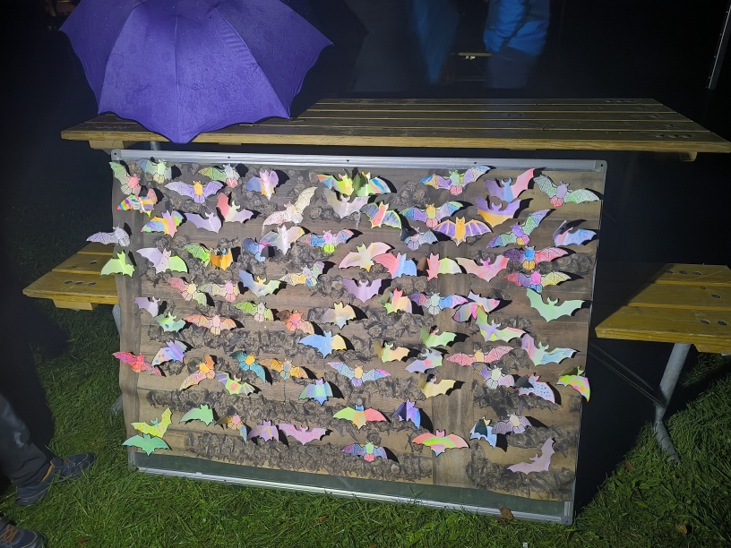 netopýři vymalovaní svítícími barvami v kolonii v noci svítí